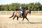 SBM_007564