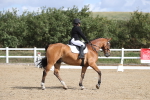 SBM_001366