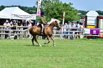 SBM_08024