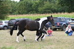 WJ6_5652