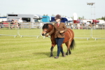 SBM_00517