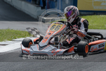 Kart_Inter Island 2016-128