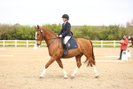 SBM_007446