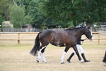 WJ6_7850
