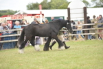 SBM_15978