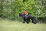 WJ6_1652