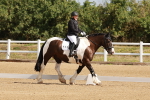 SBM_000438