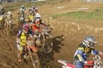 MX 291011 133