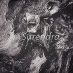 Bark # 17D