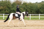 SBM_001357