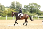 SBM_000584