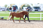 SBM_01894