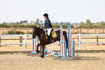 SBM_000242