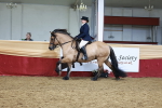 Class 952 - M&M Ridden Supreme Final portfolio