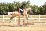 SBM_000113
