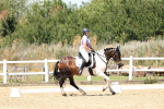 SBM_001650