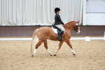 SBM_002266
