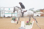 Saturday 22nd - Huish Arena (2 Star, Amateur and 7 yr old classes) portfolio