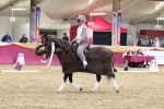 SBM_09666
