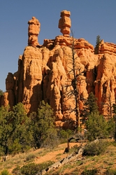 Red Canyon; Utah portfolio