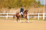 SBM_009288