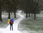 Primrose Hill Snow 10