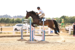 SBM_001598