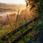 Landscape-043