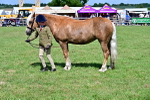 SBM_08079