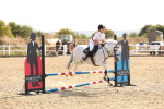 SBM_000681