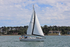 190729 MERDEKA GBR7835T - BAVARIA 44 1Y3A6189