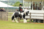 SBM_06260
