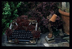 Garden in Mind portfolio