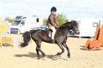 SBM_11268