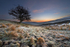 "Frosty Morning 2" - Yorkshire Dales.