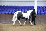 SBM_5256
