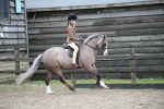SBM_005992