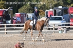 BPP_8834