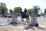 SBM_17526