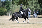 WJ7_0974