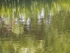 P42003540697