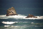 SAND FLY BEACH, DUNEDIN