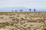 Black Combe-665