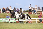 3E7A2503