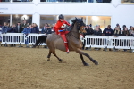 SBM_004465