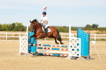 SBM_002629