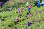 Coniston Juniors-62