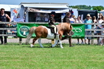SBM_05812