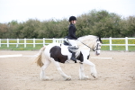SBM_006571