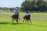 300926-Race 3-Fairydale-6143